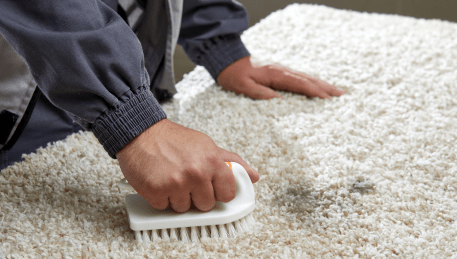 Professional Rug Cleaning Gong Gong